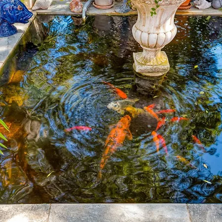 Villa Piscine Proche Du Salagou
